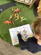 Learning about Dinosaurs